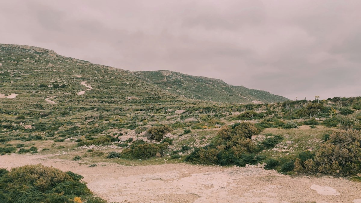 a dirt field with a hill in the background
